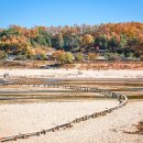 철암식품 Daum카페