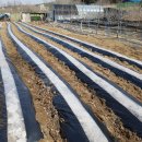 태영농장 이미지