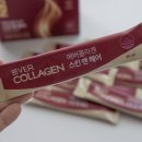 에버콜라겐 스킨앤헤어 푸석한 모발 고민 덜어주는 모발콜라겐 챙기기
