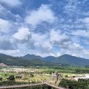 포천(Y자 출렁다리) 이미지