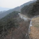 충청도4호 이미지
