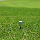 홀당구클럽 이미지