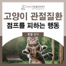 우장산동물의료센터 이미지