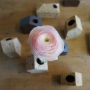 도토리(dotori) 이미지