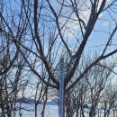 큰나무몰 이미지