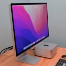 pet176나8690 이미지