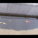도은트 수로(DAUNT WATERWAY) 이미지