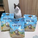 무인도 | [고양이 모래] 우리의 블루마블 무인도 샌드 체험 후기