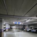 부산시티센터 | 부산 심리상담 후기 [브레인통합심리상담센터 부산 마린시티점]