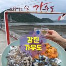 강진9호 이미지