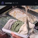 스위텔 이미지