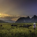 판교환경생태학습원 이미지