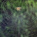 생각의 오름 이미지