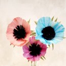 손끝에서 피어나는 페이퍼 플라워 이미지