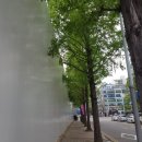 중동로261번길 이미지