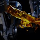 한스게러지 이미지