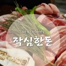 작심한돈 이미지