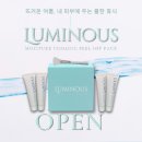 루나(Luna)치과기공소 | Erin쌤 일상블로그 포토덤프 최근 소비 리스트와 이런저런 이야기