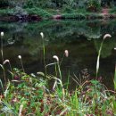 비로소, 겨울 하늘 이미지