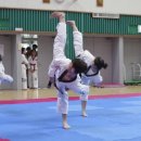 흑룡태권도 이미지