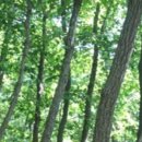 동해시-49 이미지