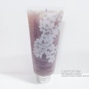 플럼블라썸(Plum Blossom) 이미지