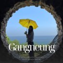 하슬라뮤지엄호텔 | 강릉 하슬라아트월드 입장권 예약 할인 내돈내산 후기(포토존 뮤지엄호텔 숙소 미술관)