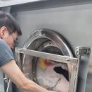 순정세탁소 이미지