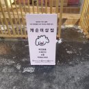 개순이상점 이미지