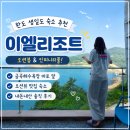 이엘 | 완도 생일도 숙소 추천! 이엘리조트 301호 오션뷰 내돈내산 후기
