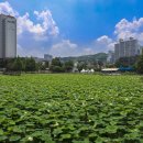 시립봉담도서관 이미지