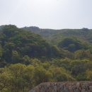 쑤니네 농장 이미지