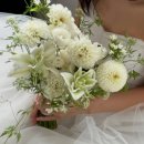 디하우스 | 디하우스 스튜디오_ 웨딩촬영 솔직 후기