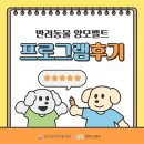 (11/30) 양모펠트_키링 | [반려동물 아카데미] 반려동물 양모펠트 프로그램 후기