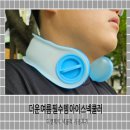 더운 여름 필수템 디앤제이 아이스 넥쿨러 후기