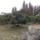 회수동-1 이미지