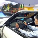 미운오리 이미지