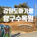 숨골 | 양구수목원 아기랑 다녀온 후기! 강원도 아이랑 갈만한 곳 자연 산책 추천