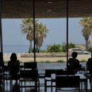 진선목장 | 임신 21주차 제주 태교여행 코스 총정리 (2박 3일 일정/숙소/맛집)