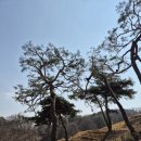 주식회사 산수 이미지