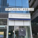 펫 탑 클래스 이미지
