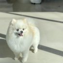 멍개구름 이미지