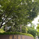 삼덕공원 이미지