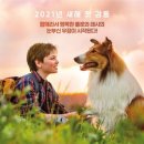 감동컴