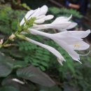 구룡약수터 이미지