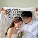 빛(꽃)의정원 | 부산꽃집 꽃정원 후기｜감성 생화부케로 완벽한 부산생화꽃집 – 꽃배달·당일예약 가능!