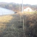 개암농장 이미지