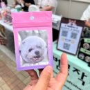 개아범 | 유기견 기부 바자회 후기｜별에서온댕댕 바자회 &amp; 입양제