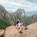 신흥사 화장실 | 강원 속초) 5살 아이와 함께한 설악산 케이블카 &amp; 신흥사 가족 나들이 후기