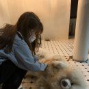 동행in협재
